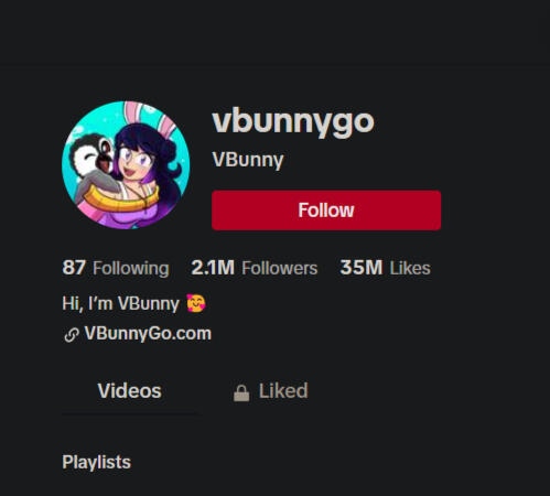 The TikTok account of VBunny Go LLC.